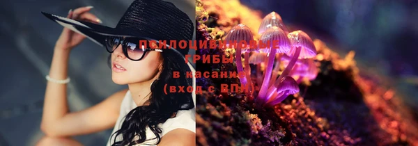 спайс Арсеньев
