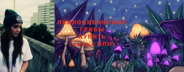 спайс Арсеньев